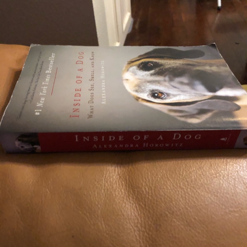 🐶 Inside of a Dog by Alexandra Horowitz - Picture 2 of 9